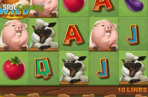 Coocoo Farm Screenshot